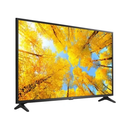 تلویزیون سامسونگ مدل Wg17-24